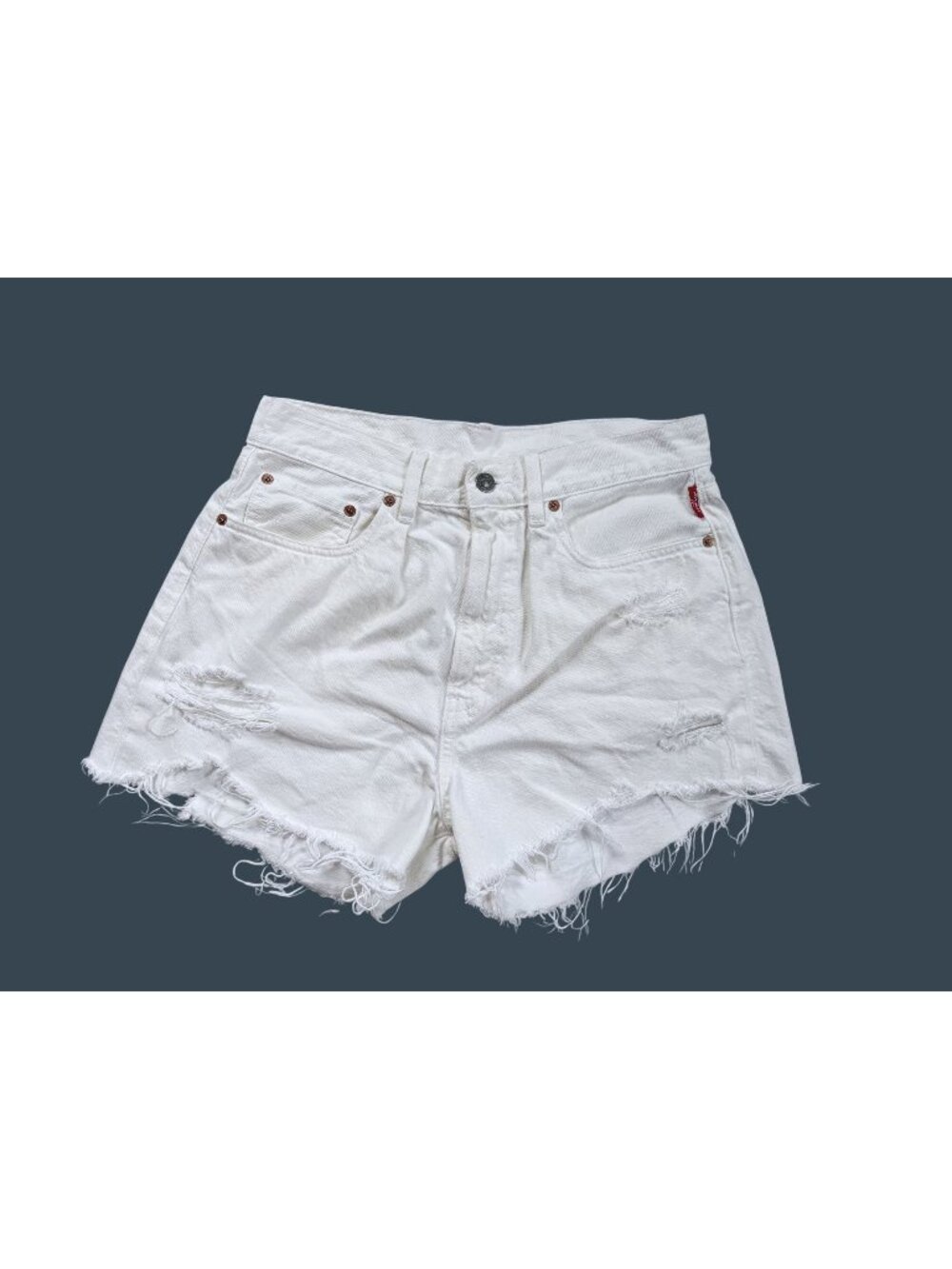 Denimist Brooke Shorts White 25 Distressed EUC